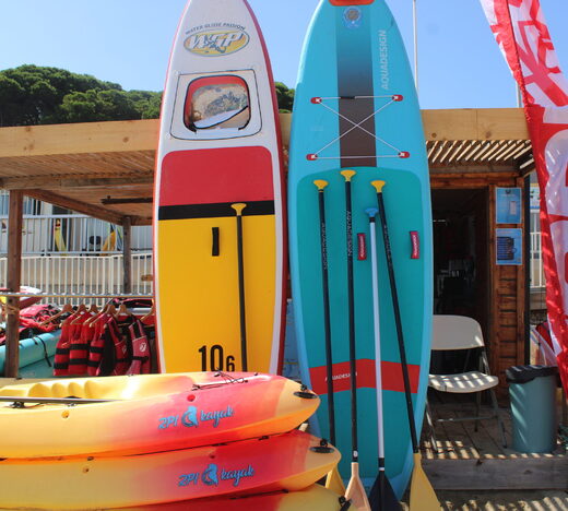 Paddle Transparent : La glisse avec vue sous-marine
